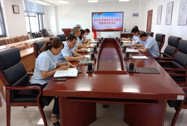 泓源公司機關黨支部召開黨史學習教育專題組織生活會(圖1)